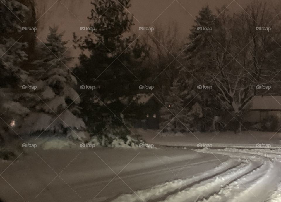 Minnesota Winter Wonderland 