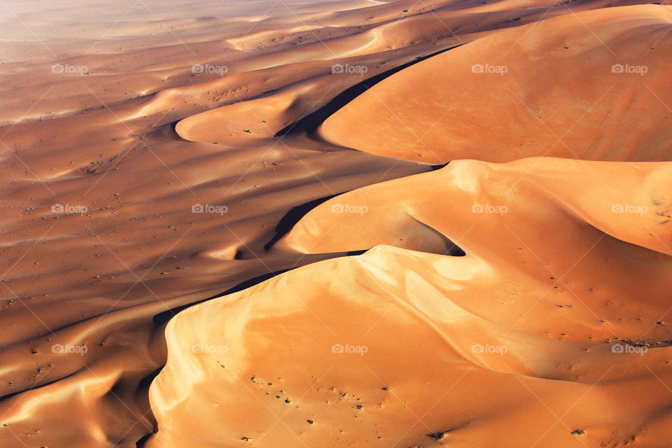 Namib Desert