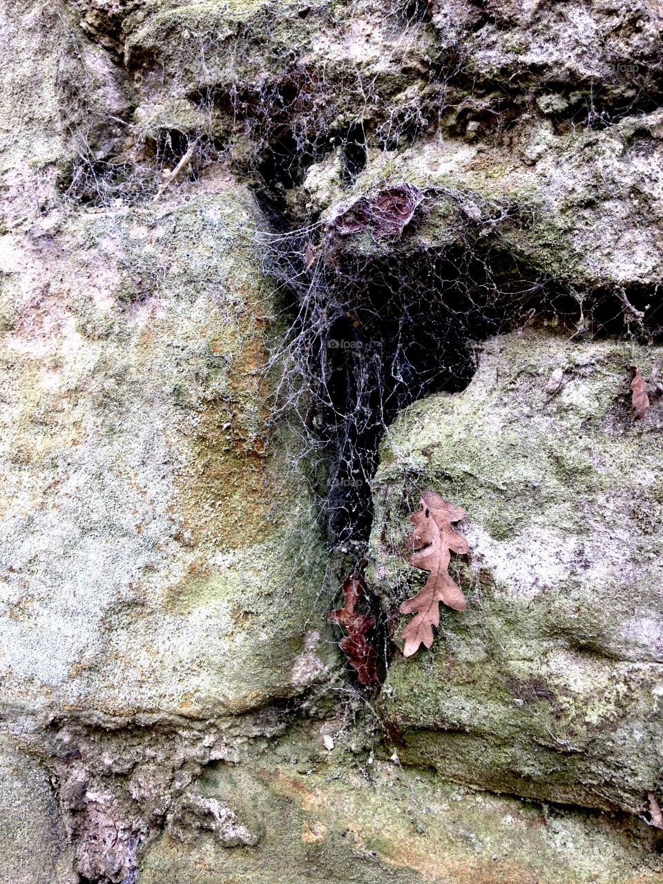 Cobwebs in the cracks 
