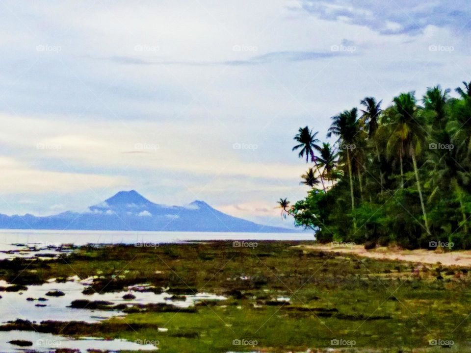 Natural green tropical beach palm trees and seashores with white clouds photography.