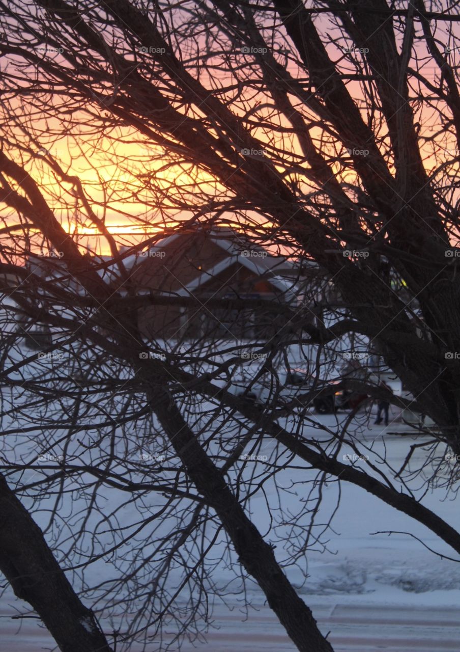 Sunset in winter 