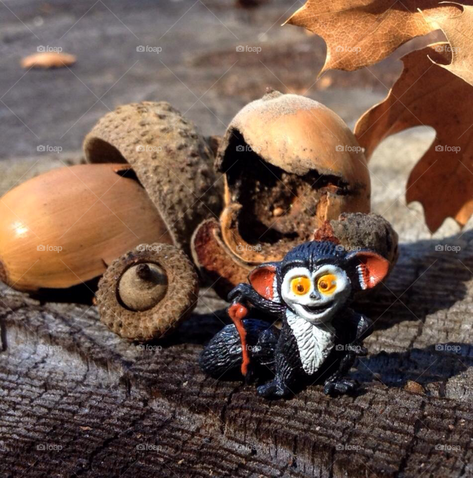 wood leaves trunk miniature by stevehardley7