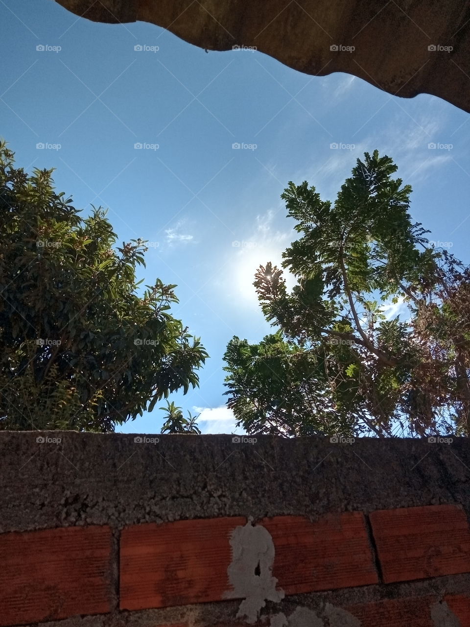 A beleza do Sol num dia frio!