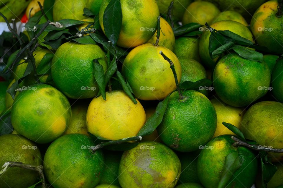 Citrus fruits 