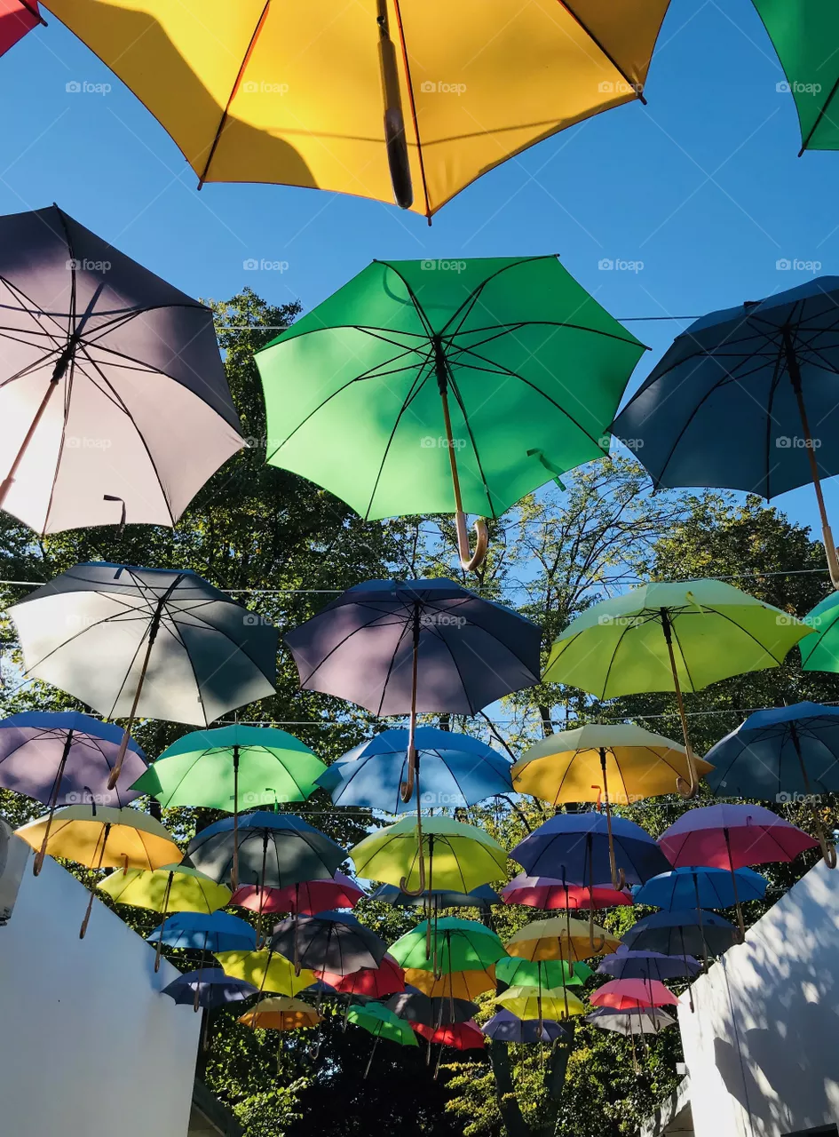 Umbrellas