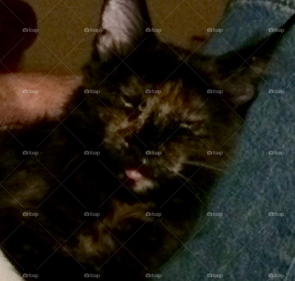 Sleeping and drooling....