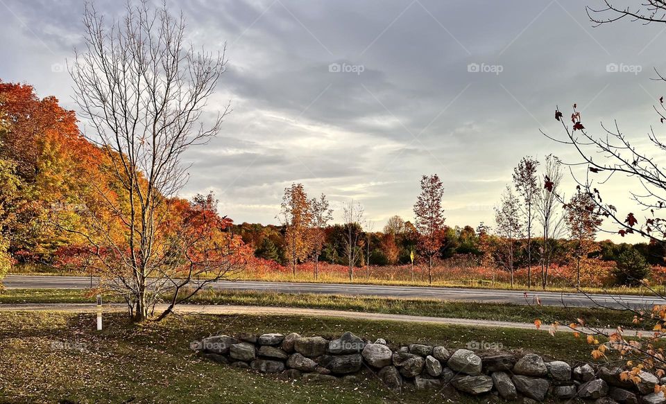 Autumn photo sun setting behind changing colour trees dark clouds rain is coming rocked in front  