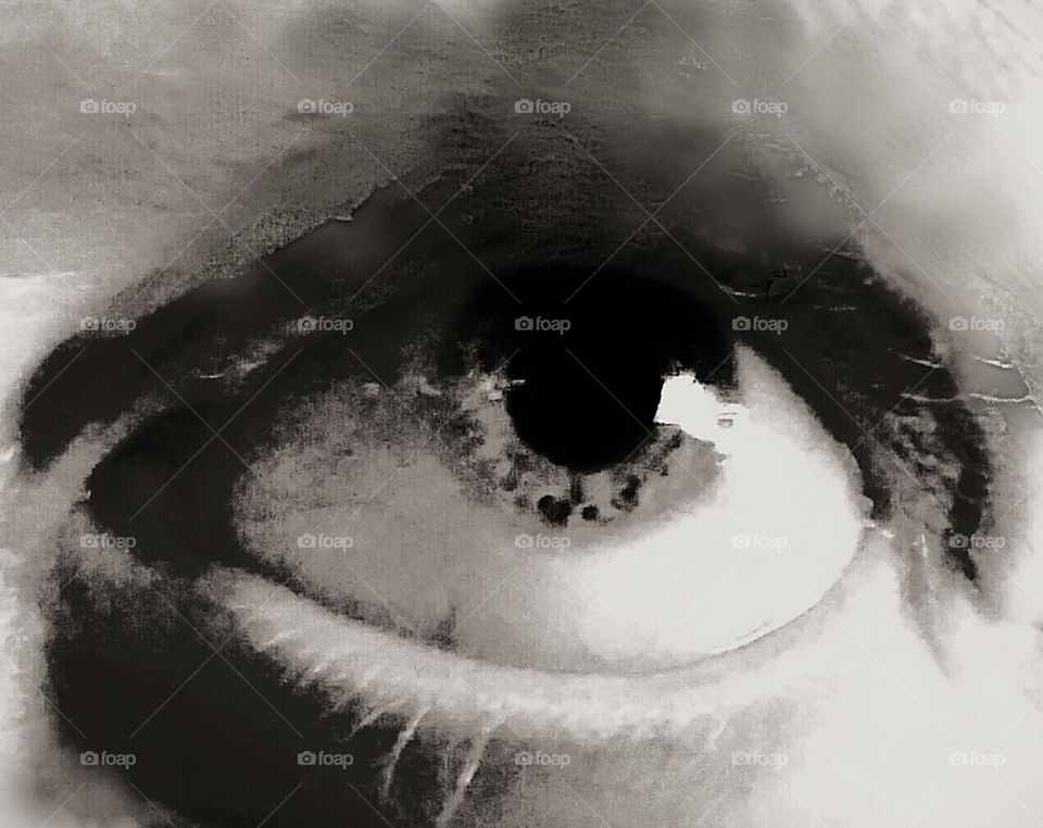 eye in black and white