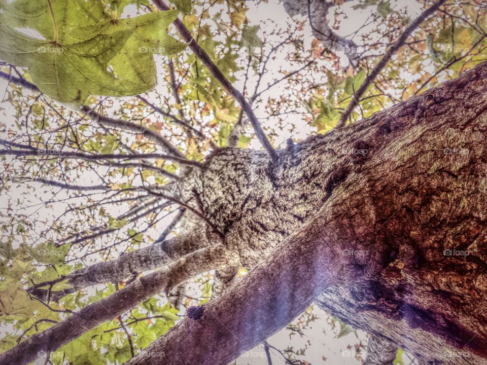 changing perspective