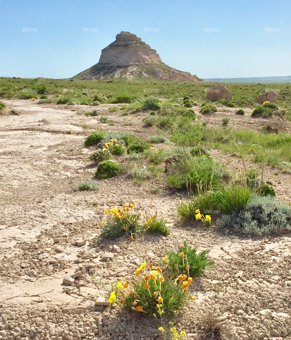 Pawnee Buttes 