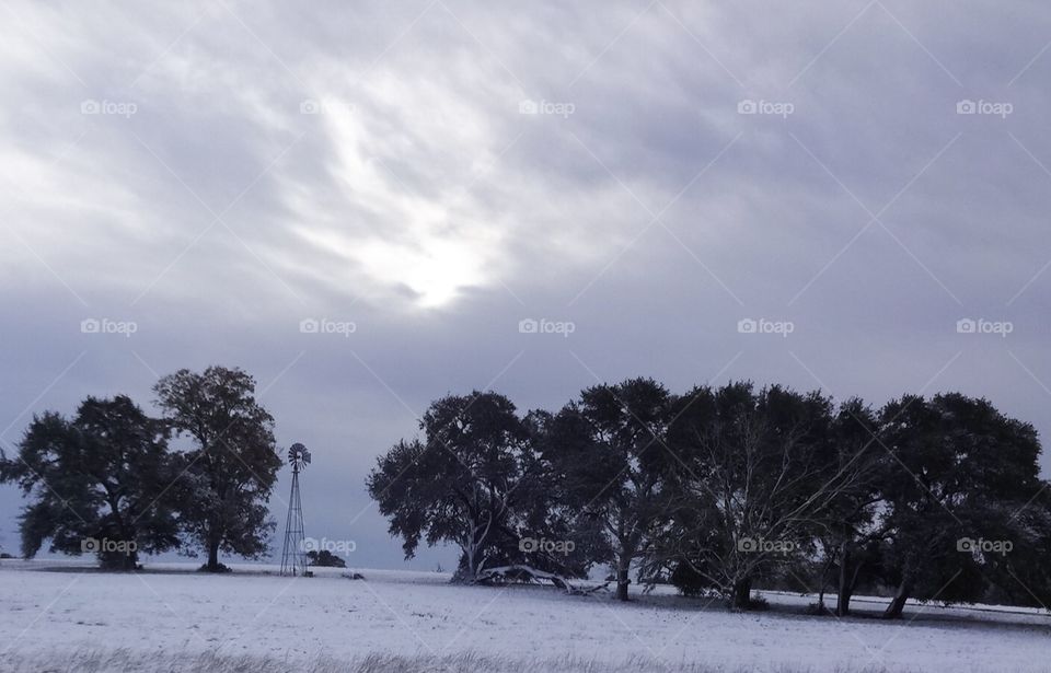 Snowy day on the farm 