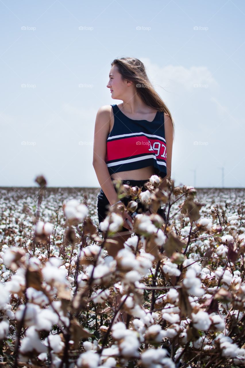Cotton picking in Texas.