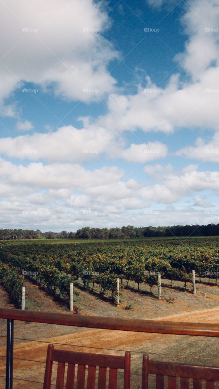 Winery in Margaret River, Western Australia 2012.