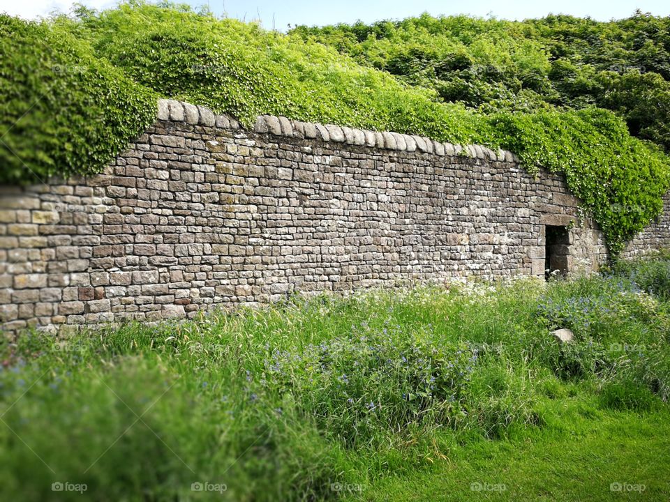 Heysham Barrows