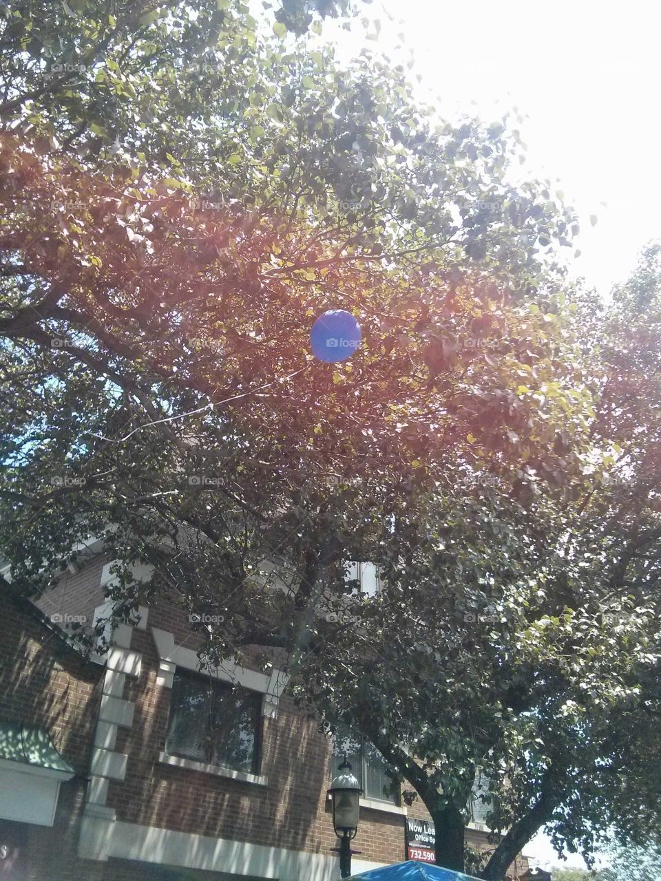 Poor Lost Blue Balloon