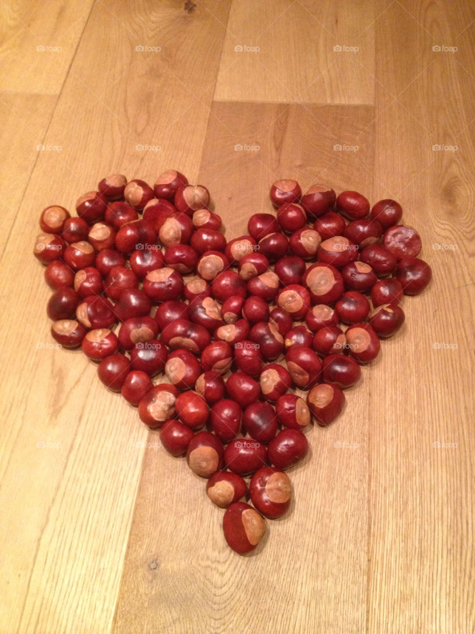 autumn heart mission4 chestnuts by mrm