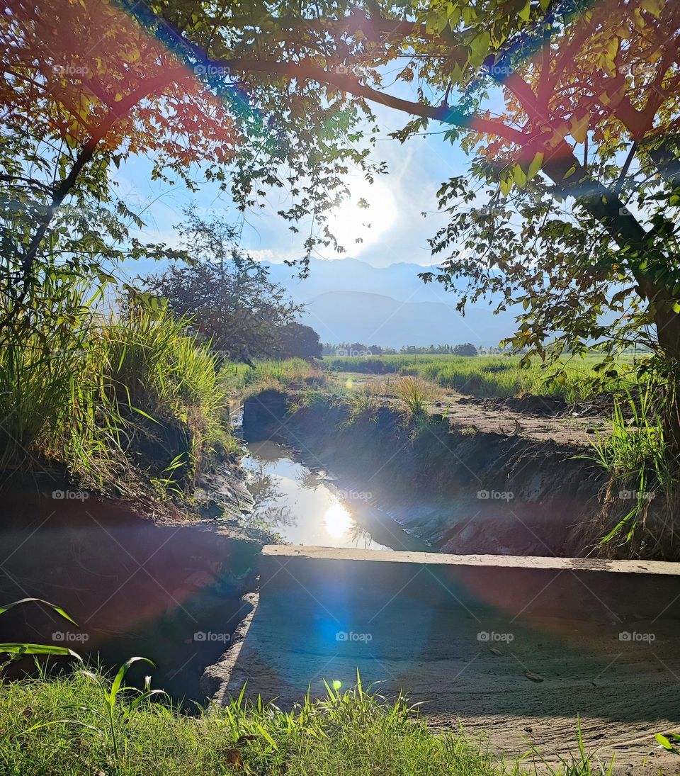 Amanecer soleado para caminata