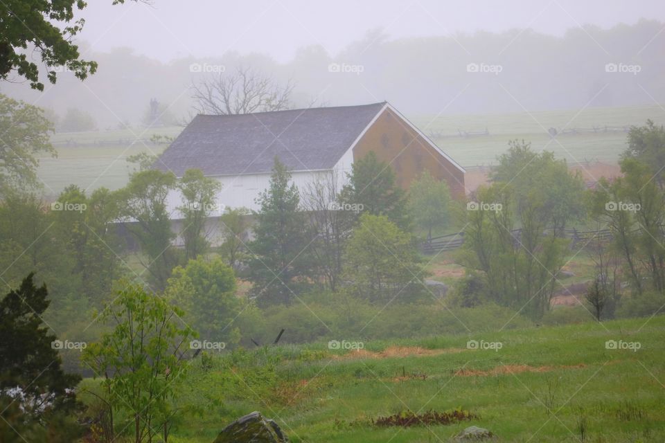foggy morning at the farm