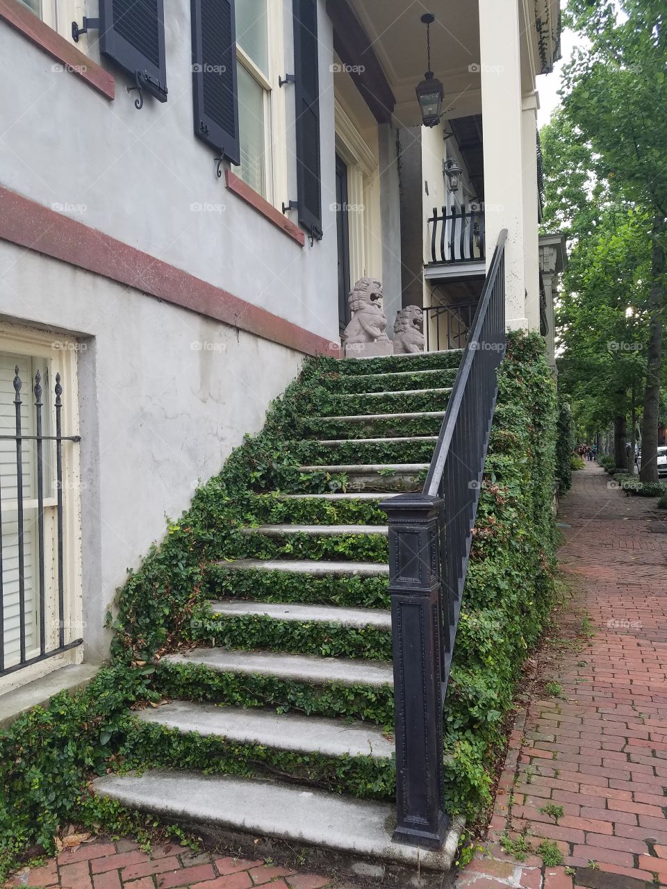 Lush green-laiden stairway with classic, iron railing lead to a beautifully historic home in Savannah.