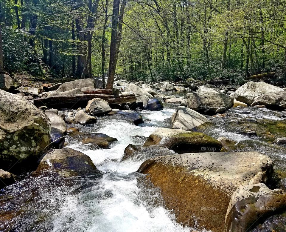 Serenity upon the river of perfectly peaceful woods, a the Chimneys of the Great Smoky Mountains National Park.