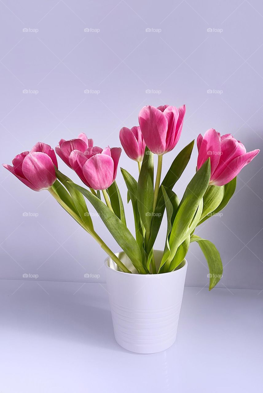 Bouquet pink tulips in white vase stand on table