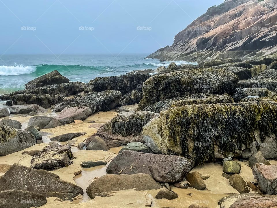 “Fog on Sand Beach.” Waves roll in with the tide on Sand Beach in Acadia National Park on a foggy morning.