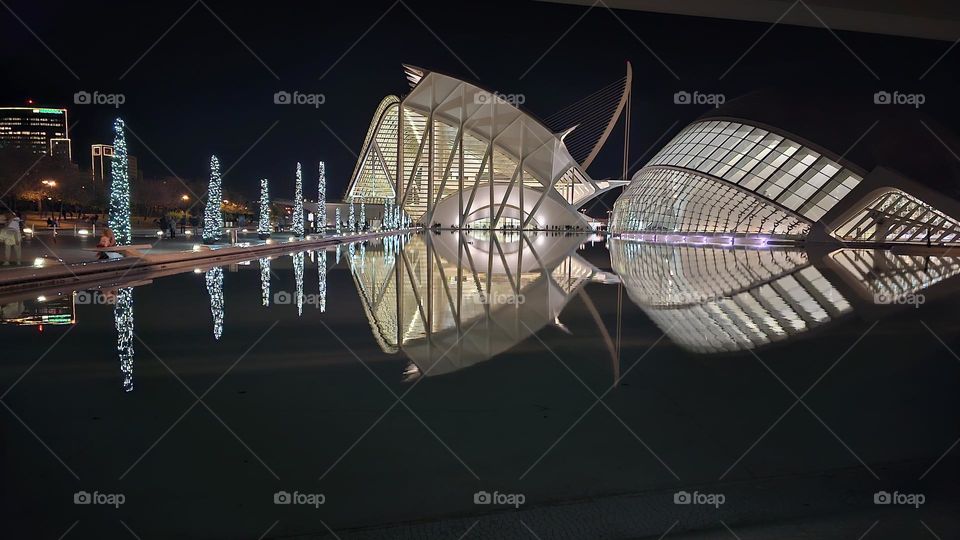 Museo de las ciencias Valencia ( España )