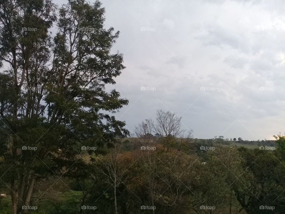 Tudo lusco-fusco! Céu cinzento de paisagem bucólica. A natureza resolveu, por alguns instantes, esconder sua graciosidade.