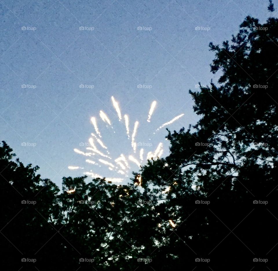 Fireworks Over the Treetops