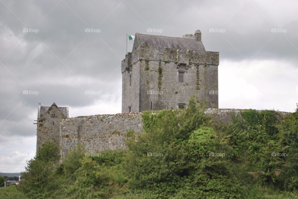 Castle and tree