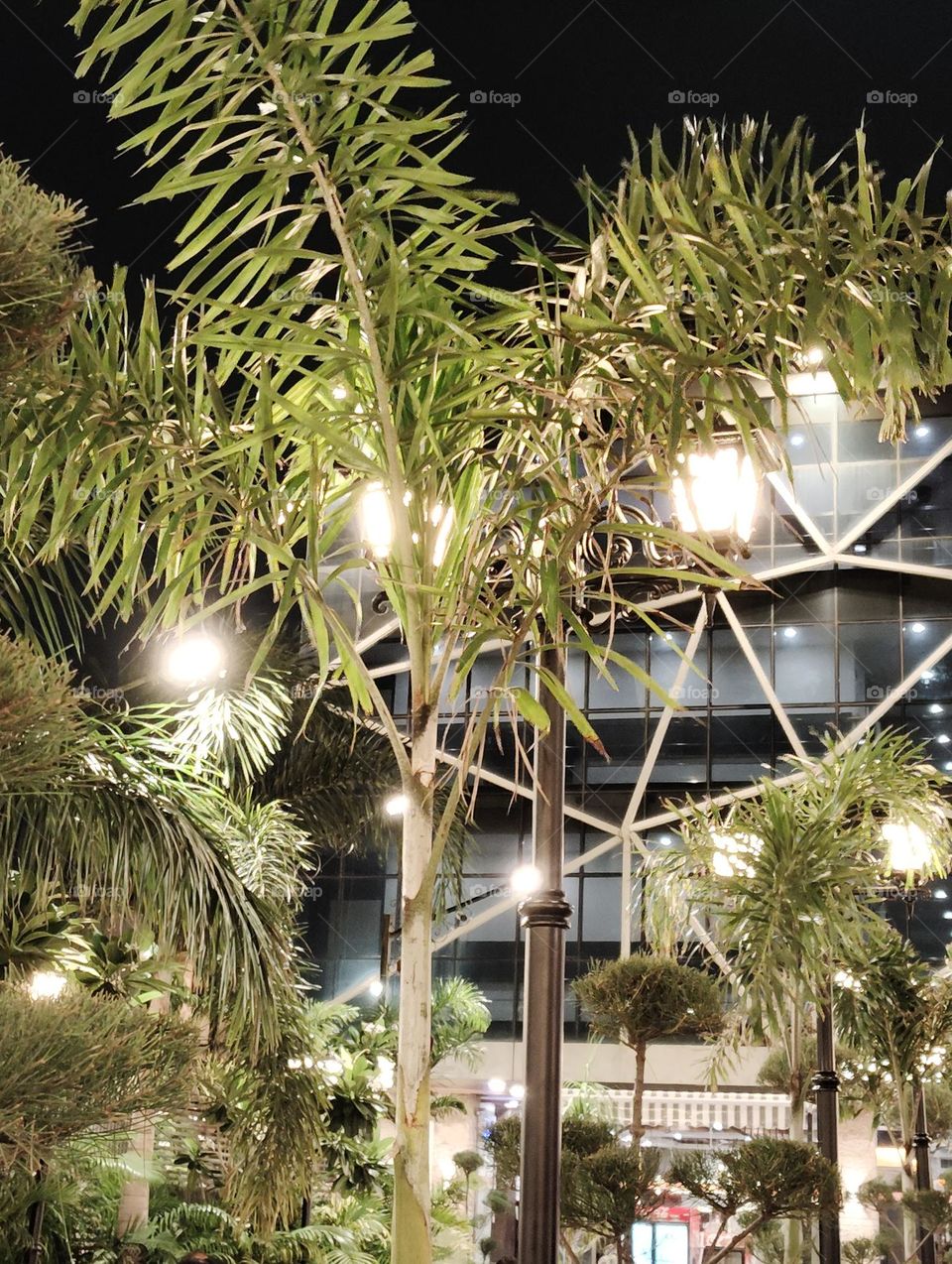 decorative seene at restorante at evening time green plant, neon light looks very beautiful generally found everywhere