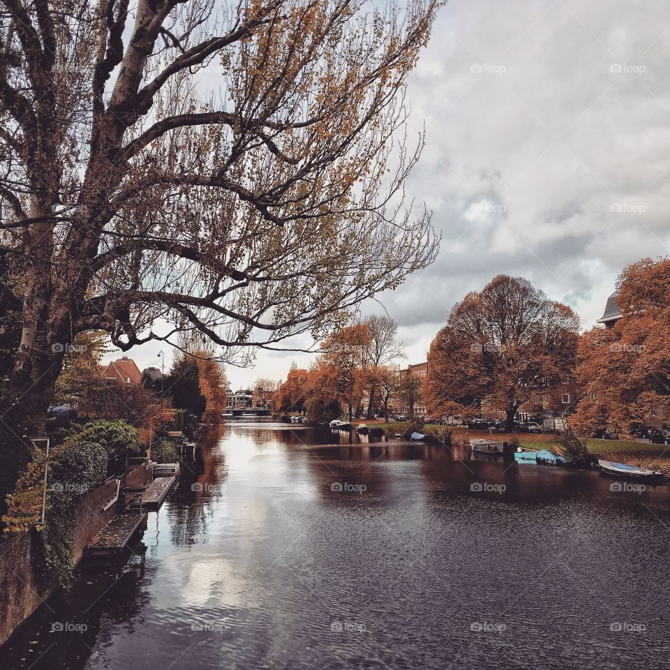 An Amsterdam canal in autumn
