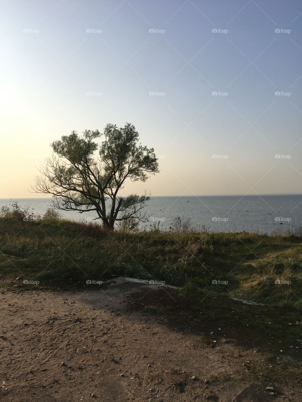 simple enjoyment of nature