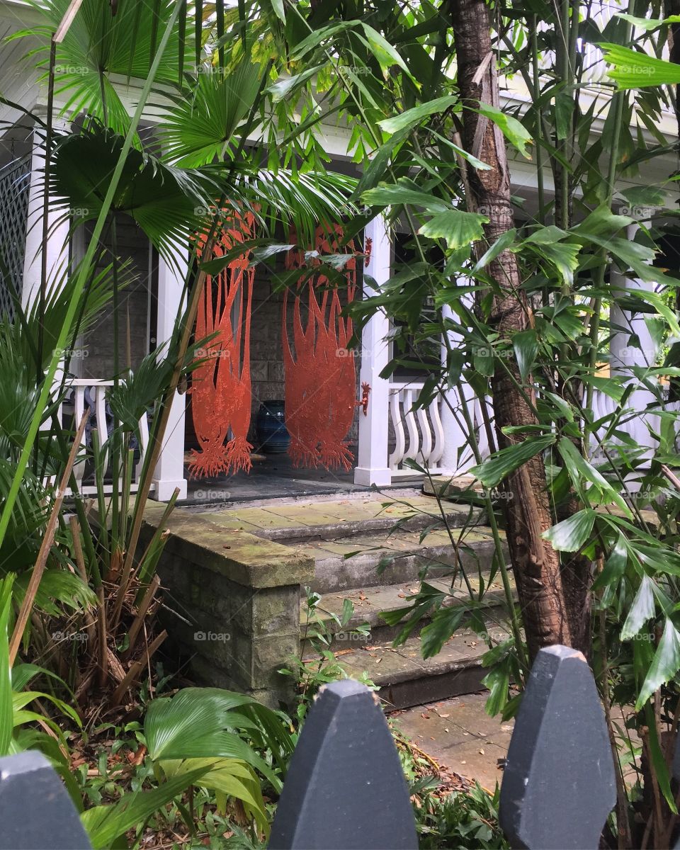 Entranceway to an old home with carved red doors and front porch with tropical foliage