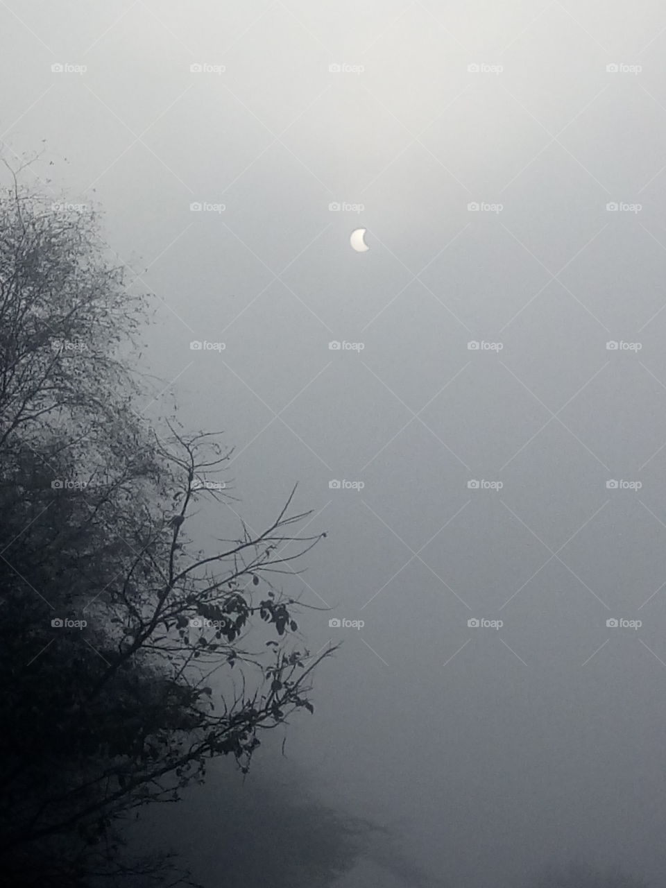 solar eclipse image 29 December 2019.