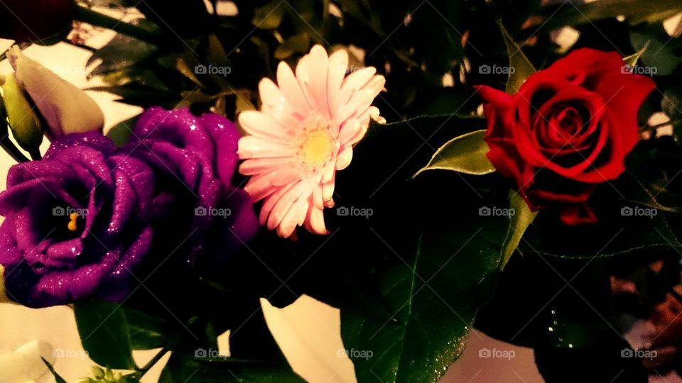 Multi Flowers