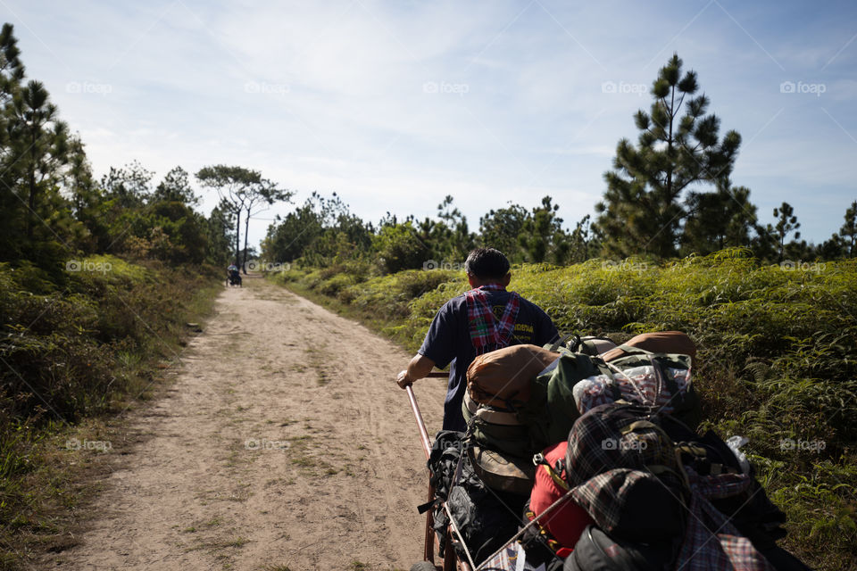 Man carrying cart in the forest 