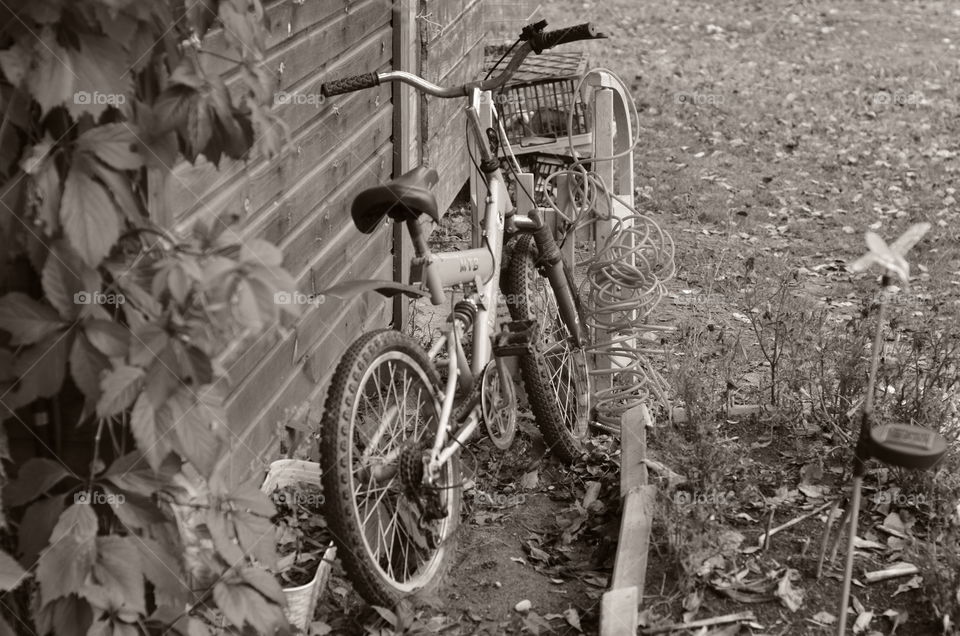 Old bicycle 🚲