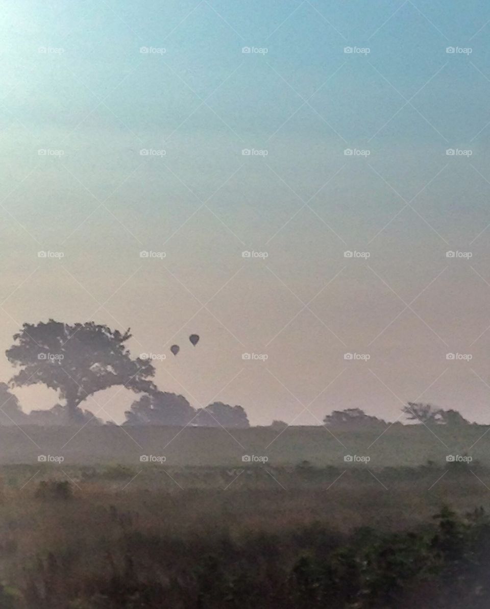 Hot air balloons in a distant foggy field