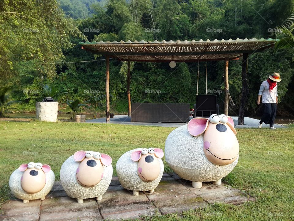 Sheep resort in Ratchaburi