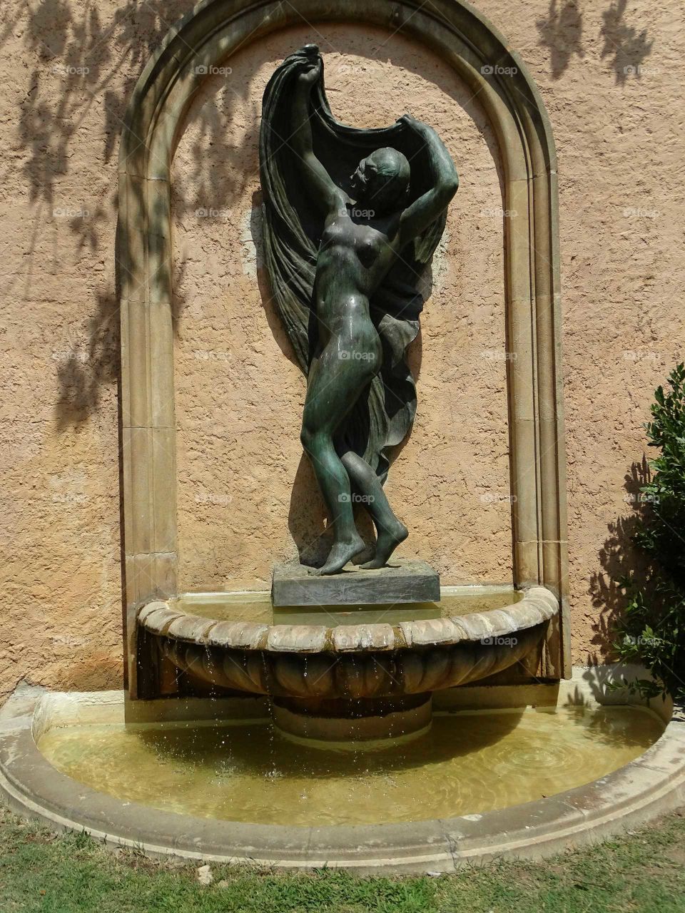 The fountain