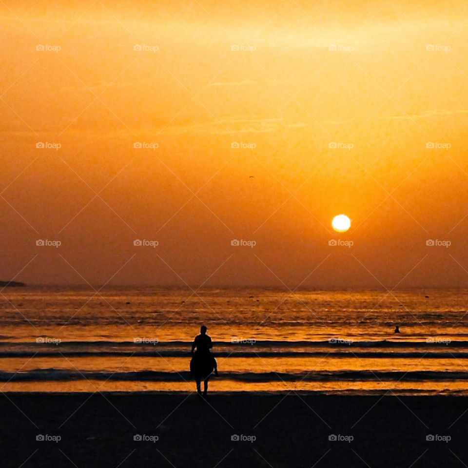 Beautiful summer near the sea at the sunset