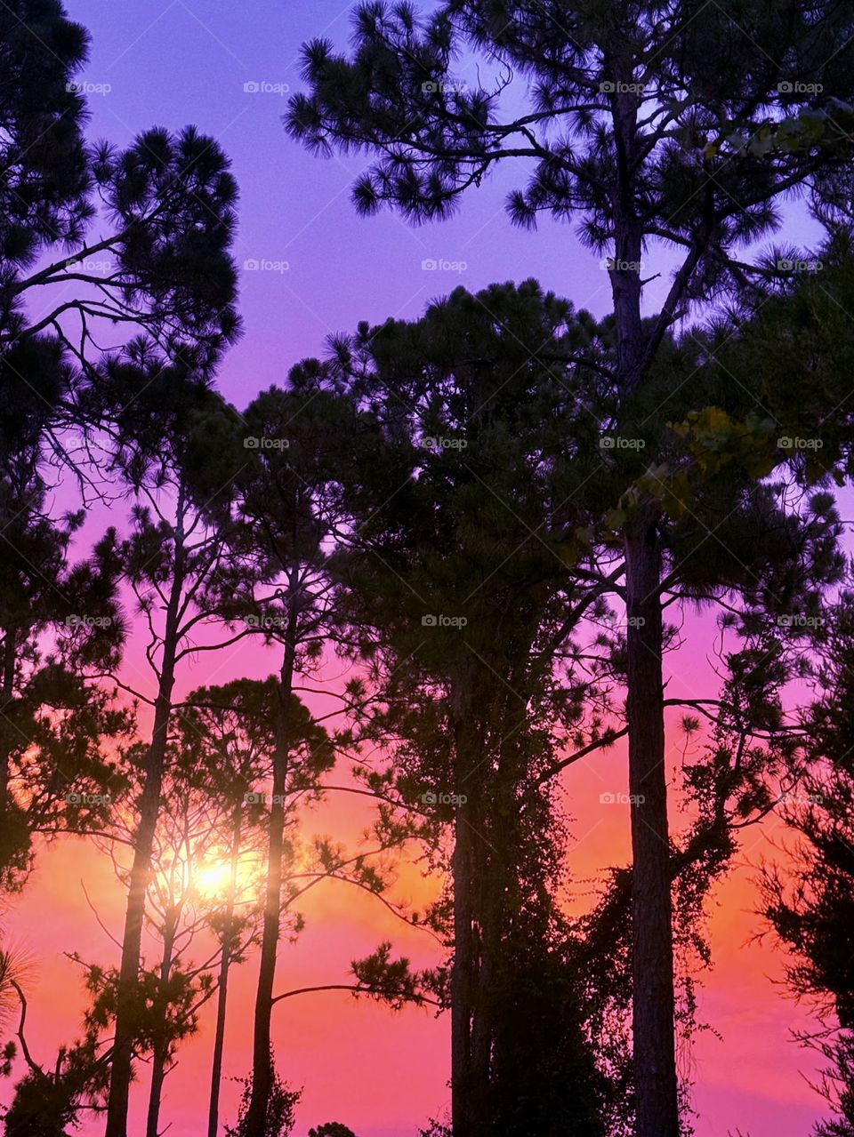 Dramatic multicolored sunset.