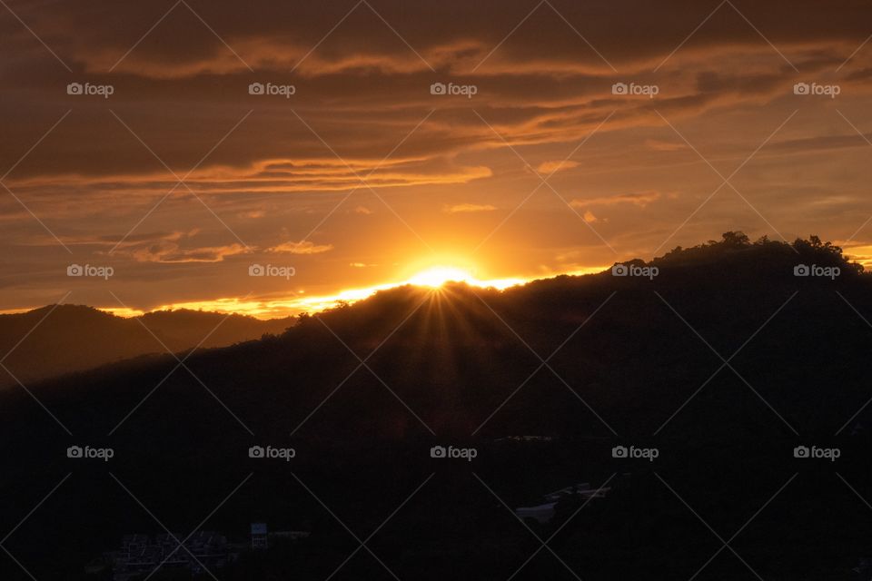 First light over the tea plantation in Cameron Highland 