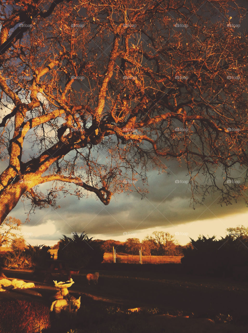 Storm brewing