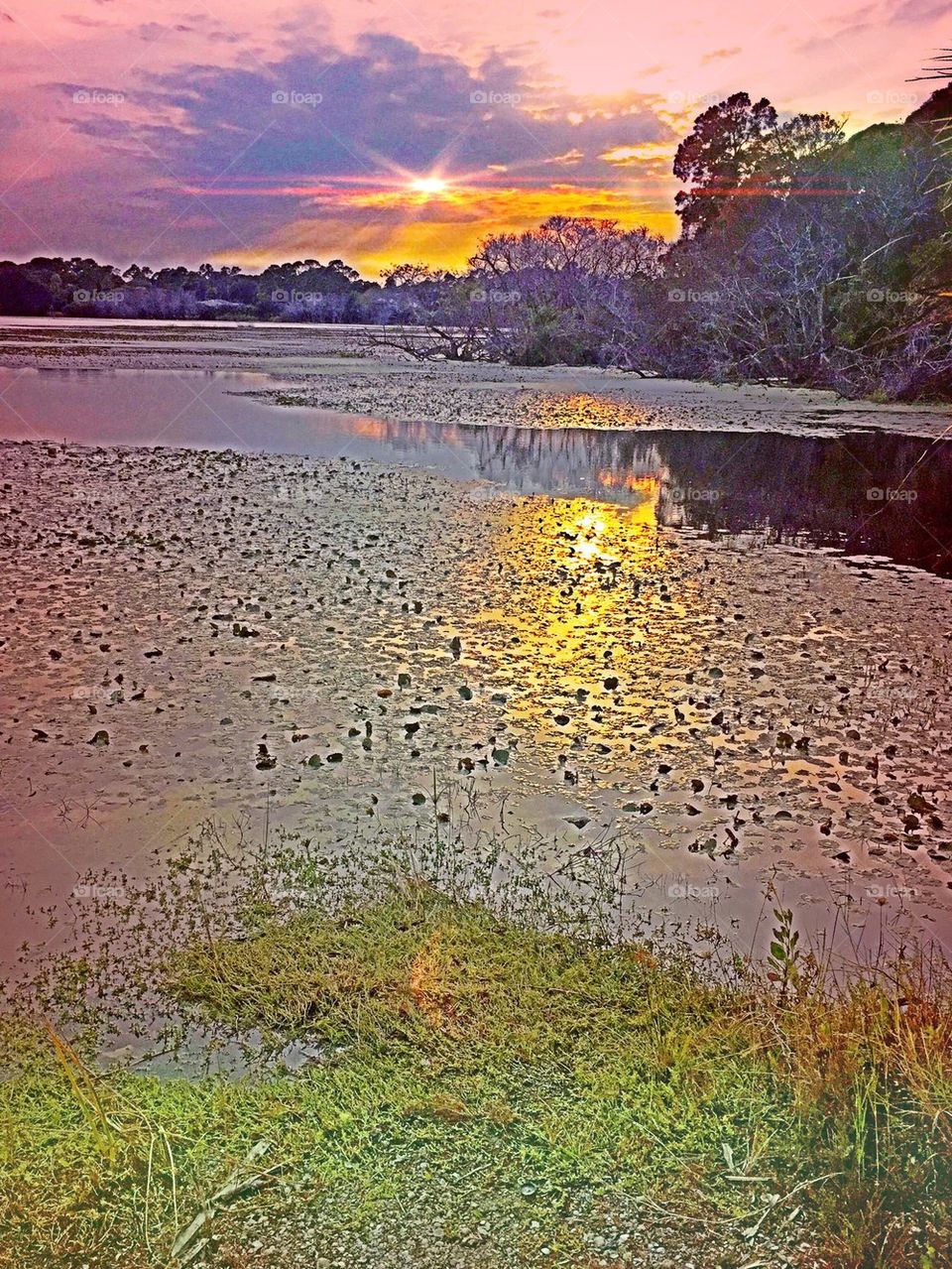 Sunsets on wetlands 