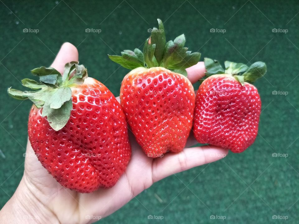 strawberry is yumny delicious tasty fruit