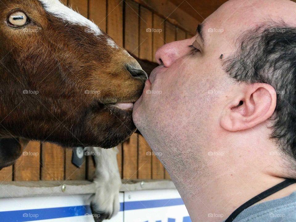 Goat kiss