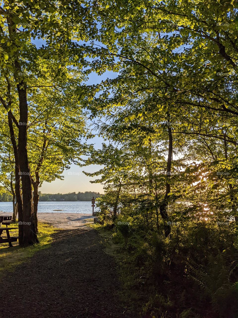 summer Lake