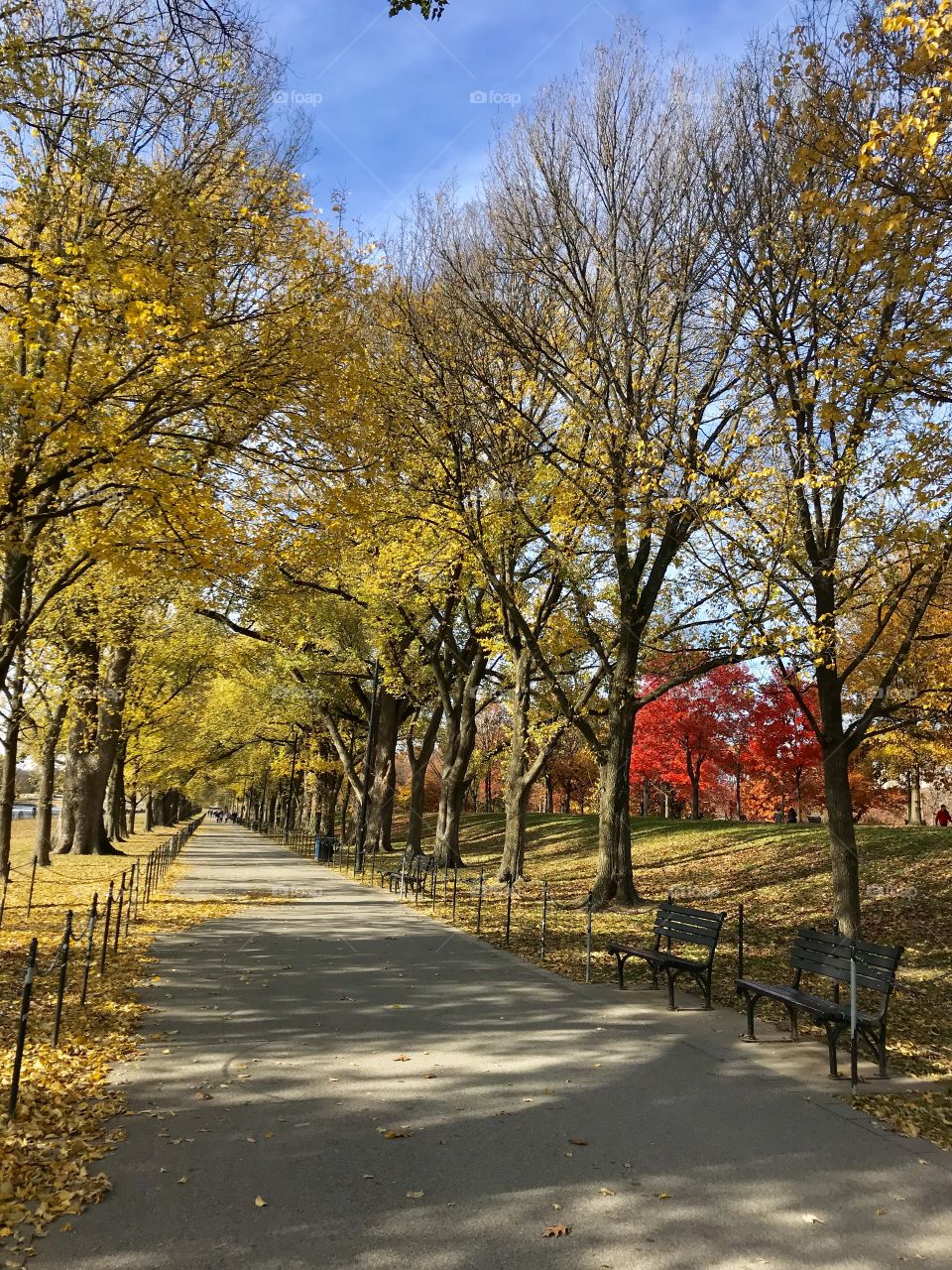 Fall walkway 